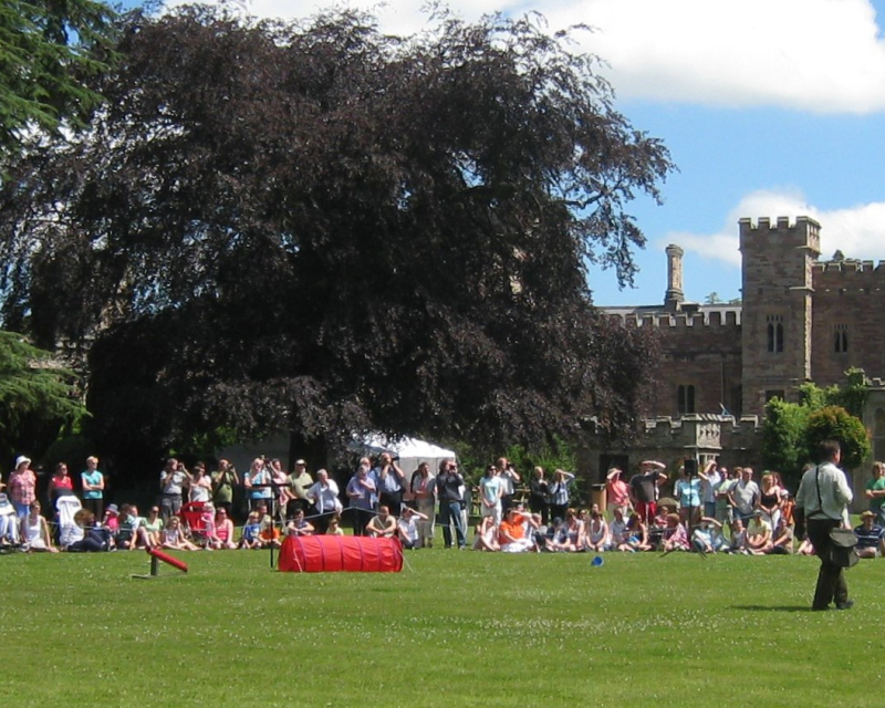 Gallery - Hampton Court Castle