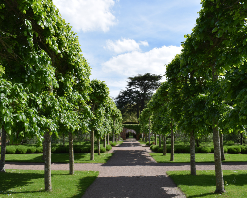 Gardens - Hampton Court Castle