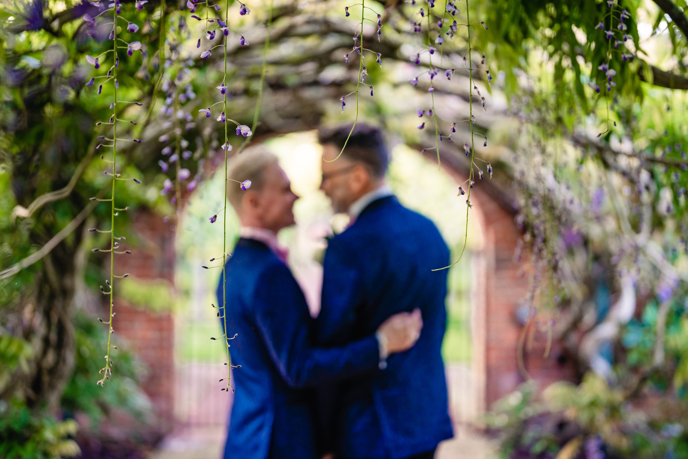 grooms under wisteria arch at Hampton Court castle gardens